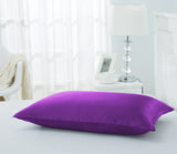 Olesilk 19 Momme Natural Silk Toddler Pillowcase Zipper Closure 13"*18"
